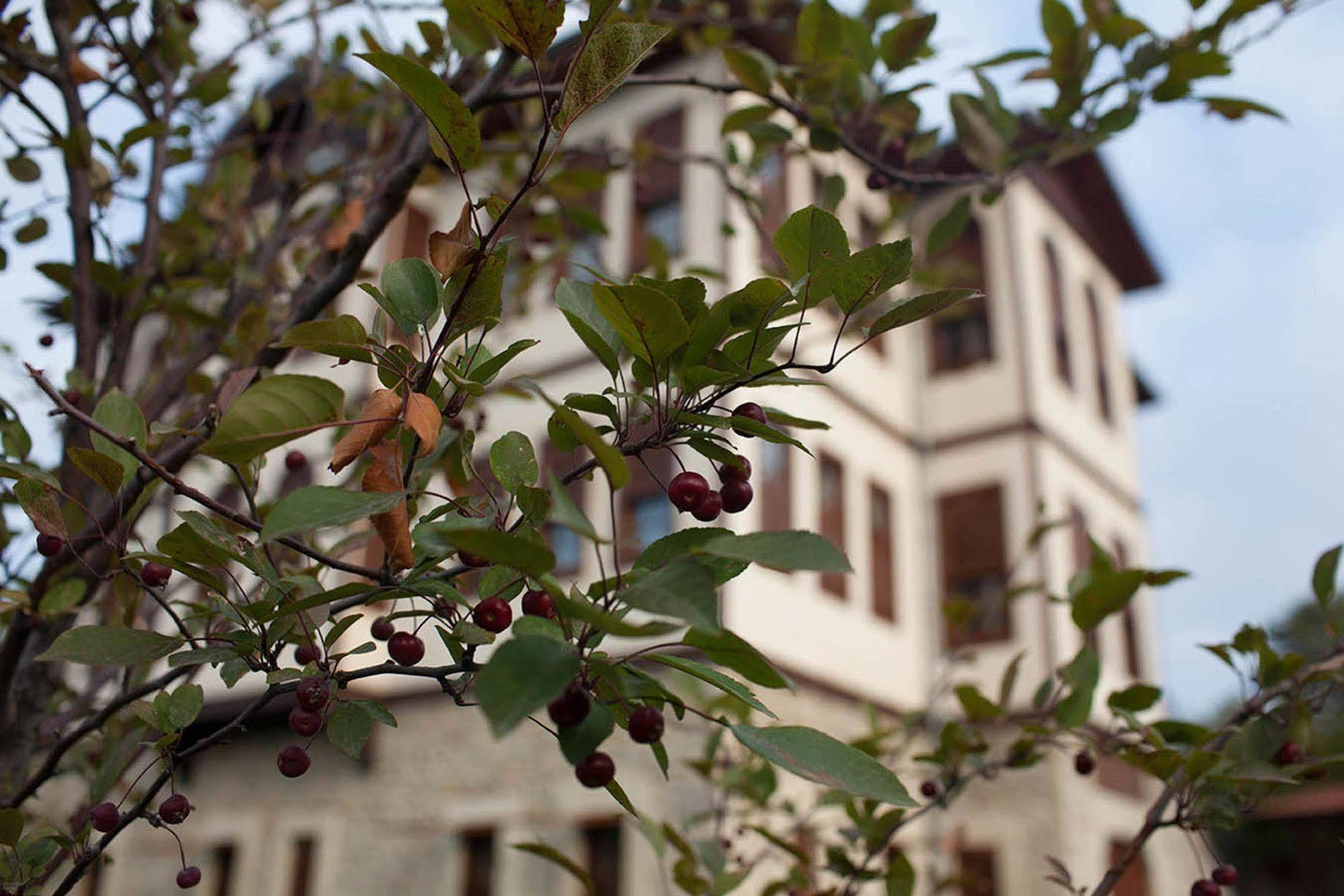 Hotel Pacacioglu Bag Evi Safranbolu Exterior foto